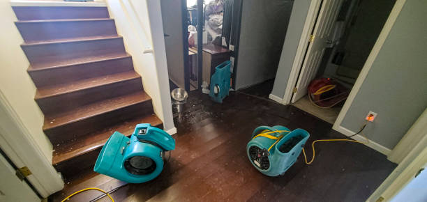  Locust Fork, AL Water damage restoration Pros