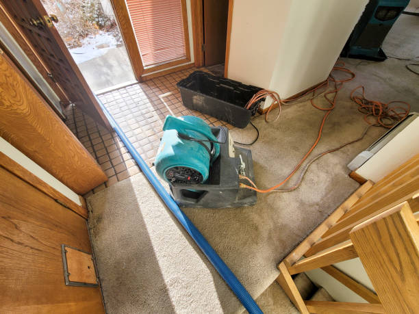 Best Local water damage restoration  in Locust Fork, AL