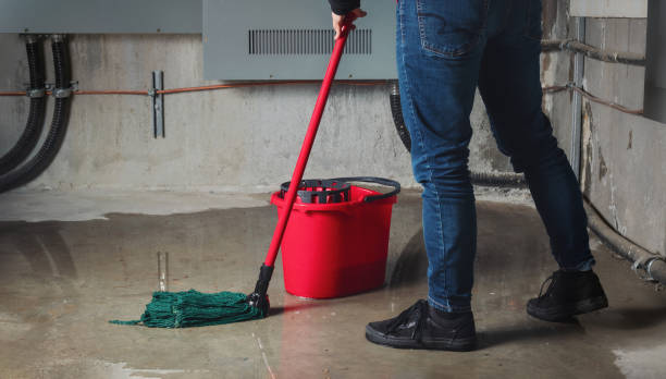 Best Ceiling water damage repair  in Locust Fork, AL