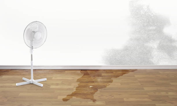 Best Commercial water damage restoration  in Locust Fork, AL