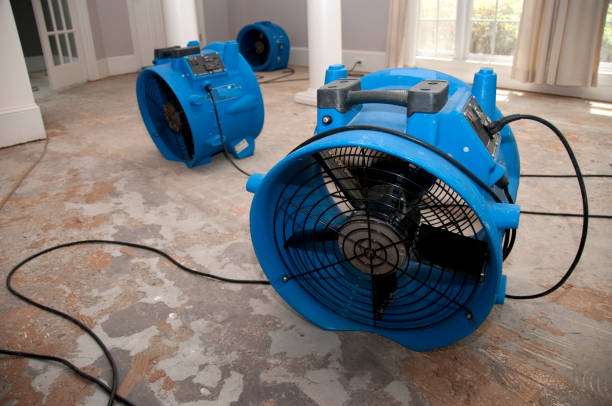 Best Fire Damage Restoration  in Locust Fork, AL