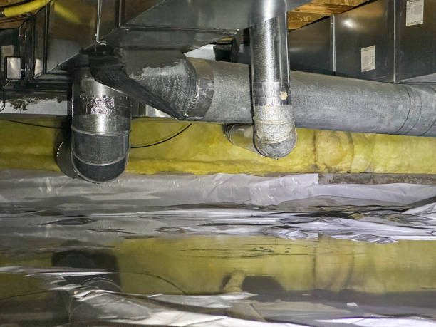 Best Flood damage cleanup  in Locust Fork, AL
