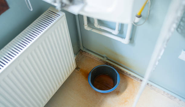 Best Water damage restoration process  in Locust Fork, AL