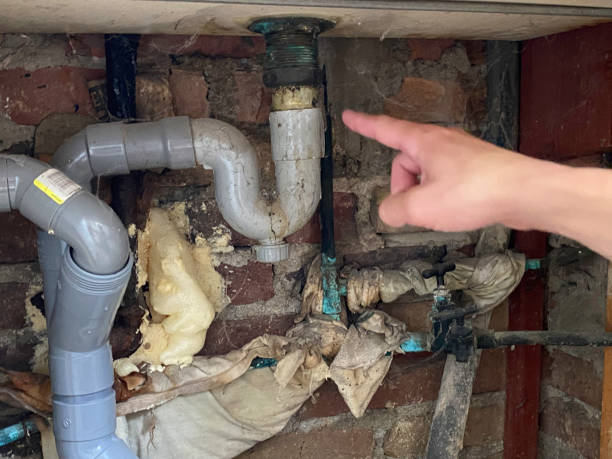 Best Water damage mitigation services  in Locust Fork, AL