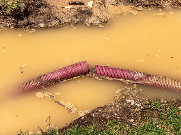 Best 24/7 water damage repair  in Locust Fork, AL