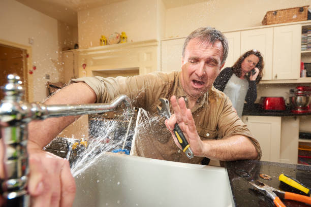 Best Sewage cleanup and water damage restoration  in Locust Fork, AL